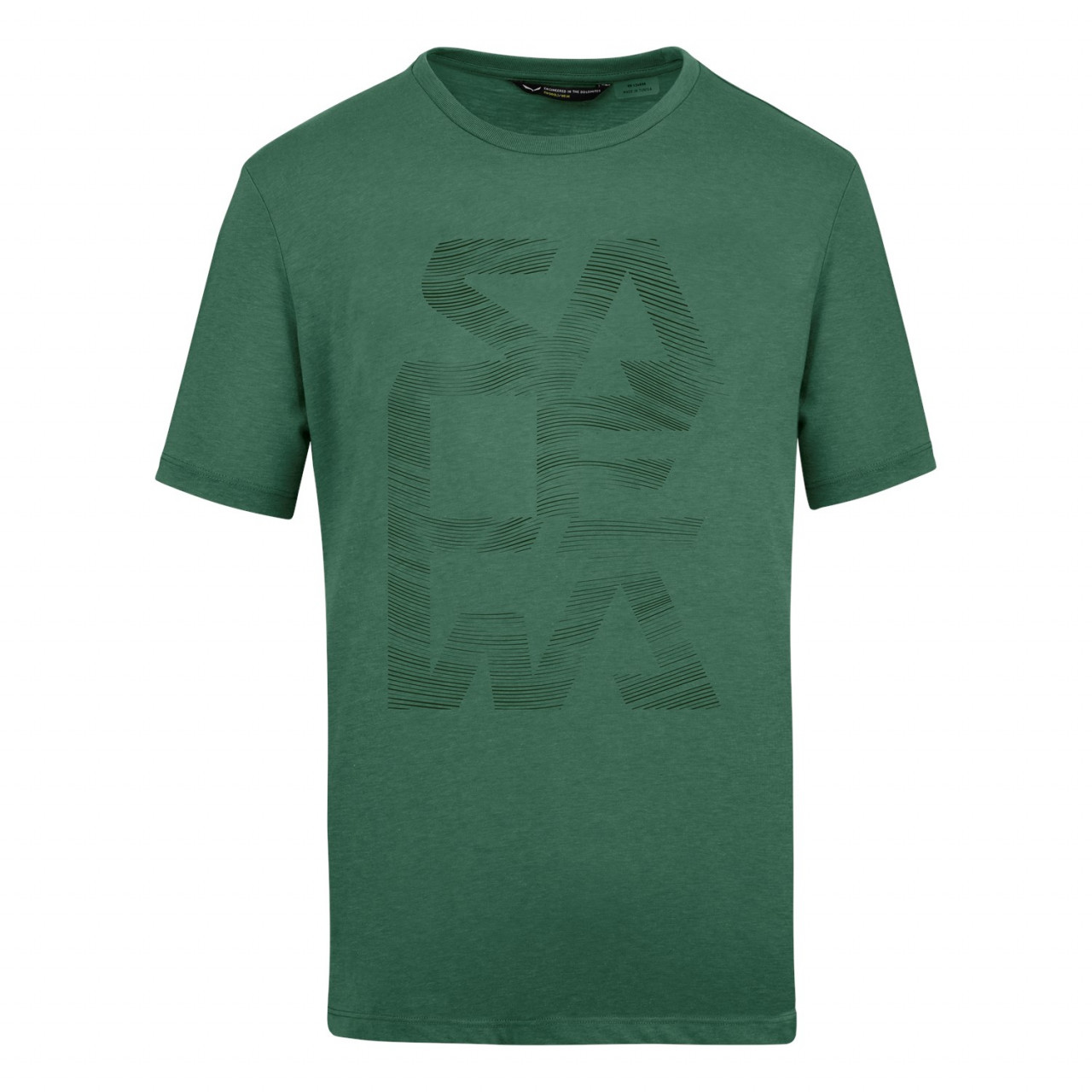 Salewa Men's Print Dry T-Shirts Green NWK-013586